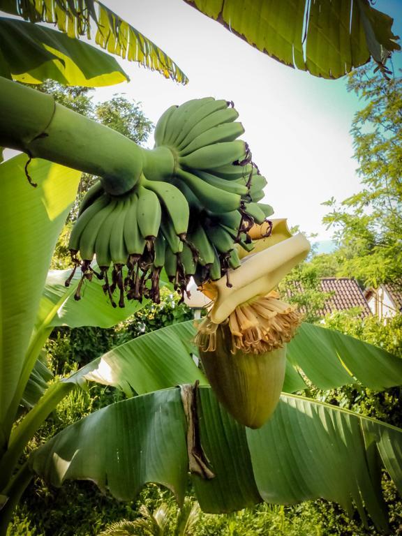 Valgioie Il Giardino Delle Farfalle المظهر الخارجي الصورة