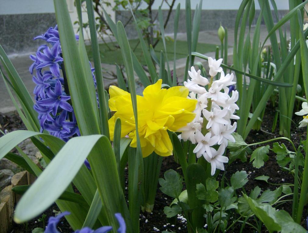 Valgioie Il Giardino Delle Farfalle المظهر الخارجي الصورة