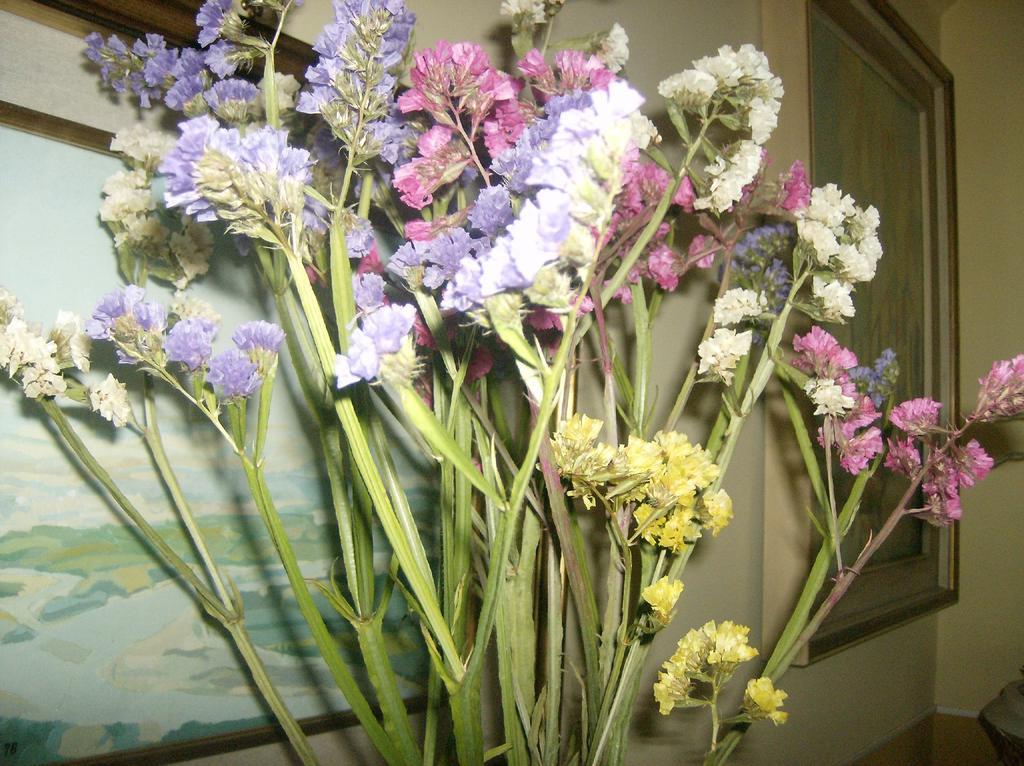 Valgioie Il Giardino Delle Farfalle المظهر الخارجي الصورة